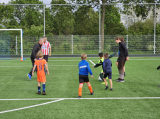 Laatste training S.K.N.W.K. JO7-1 (partijtje tegen de ouders) van maandag 27 mei 2024 (50/180)